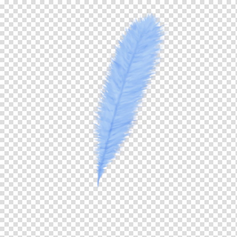 Feathers, white feather illustration transparent background PNG clipart