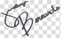 Kathryn Bernardo Signature transparent background PNG clipart