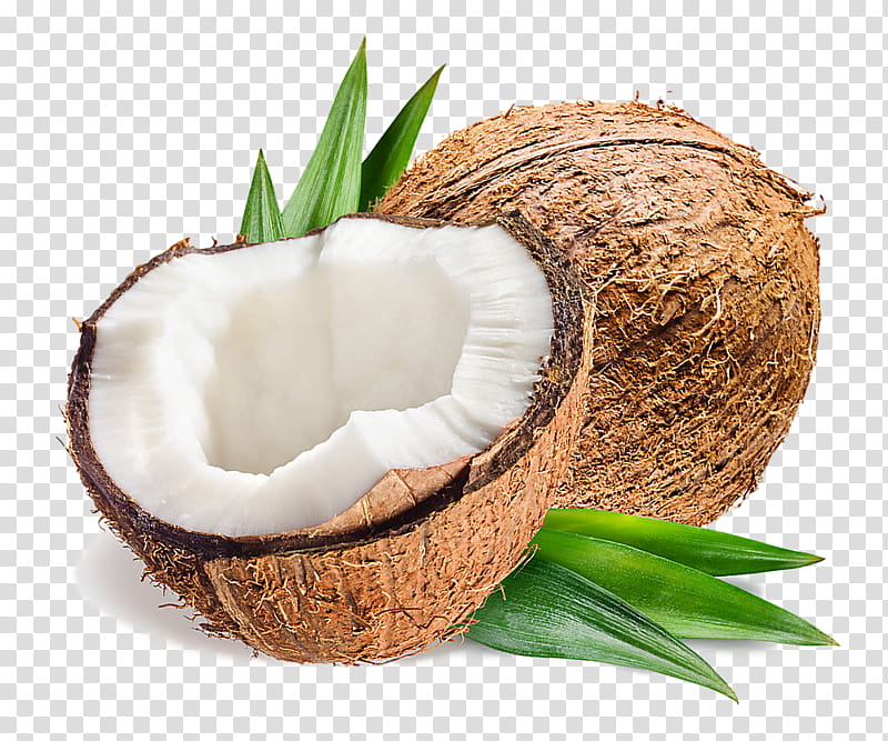 Palm tree, Coconut, Coconut Water, Plant, Arecales, Taro, Wicker, Coconut Milk transparent background PNG clipart