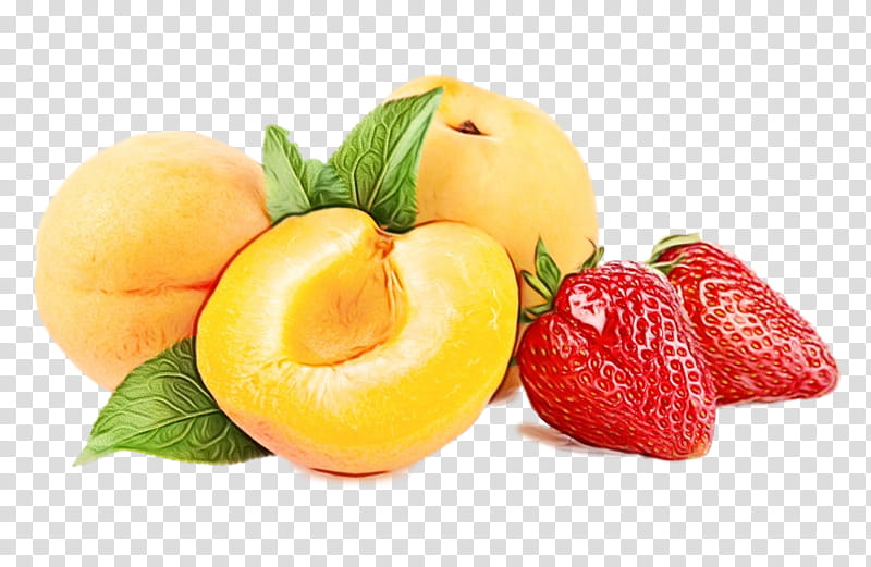 natural foods food fruit superfood plant, Watercolor, Paint, Wet Ink, Vegan Nutrition, European Plum, Accessory Fruit, Superfruit transparent background PNG clipart