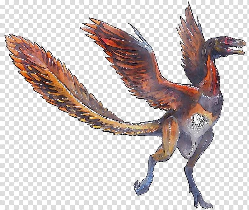 Earth Animation, Bird, Chicken, Archaeopteryx, Dinosaur, Ankylosaurus, Incisivosaurus, Evolution transparent background PNG clipart