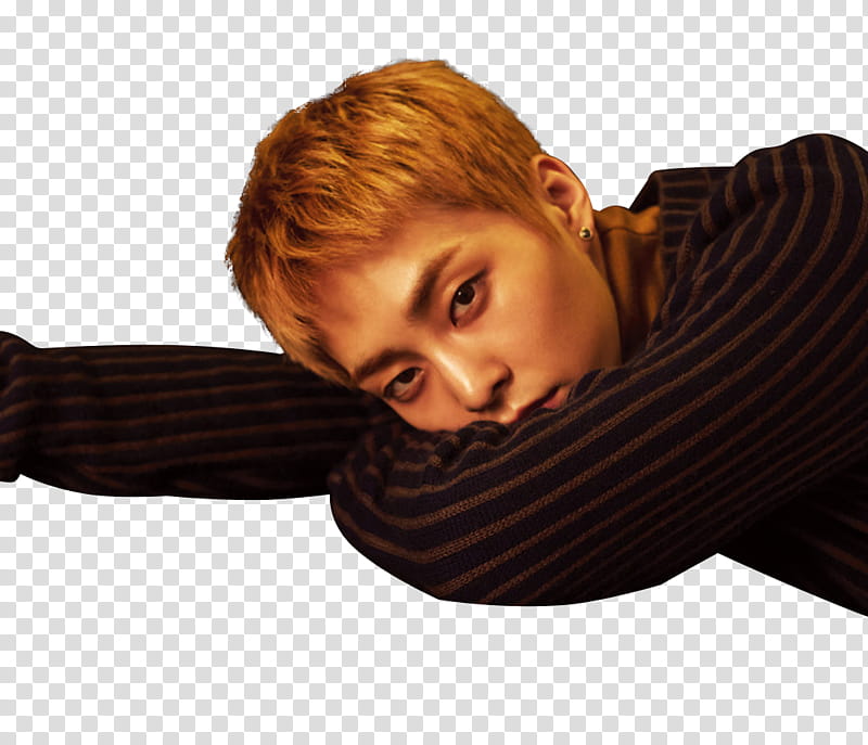 EXO FOR LIFE SPECIAL WINTER ALBUM RENDER , EXO For Life Xiumin wearing black and brown striped long-sleeved shirt transparent background PNG clipart