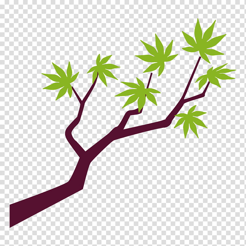 maple branch maple leaves maple tree, Leaf, Plant, Plant Stem, Flower transparent background PNG clipart