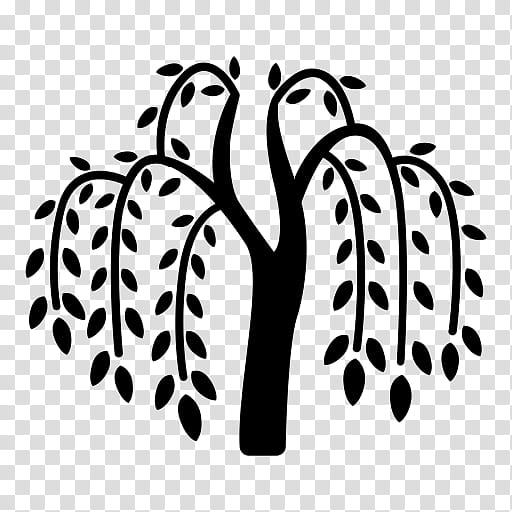 Weeping Willow Tree Drawing, Salix Fragilis, Leaf, Blackandwhite, Line Art, Plant, Stencil, Paw transparent background PNG clipart
