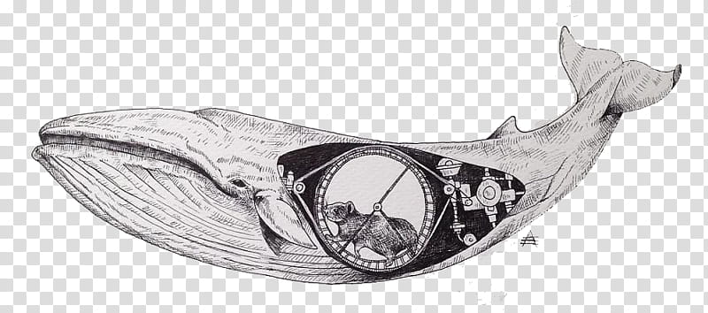 Art , gray whale illustration transparent background PNG clipart