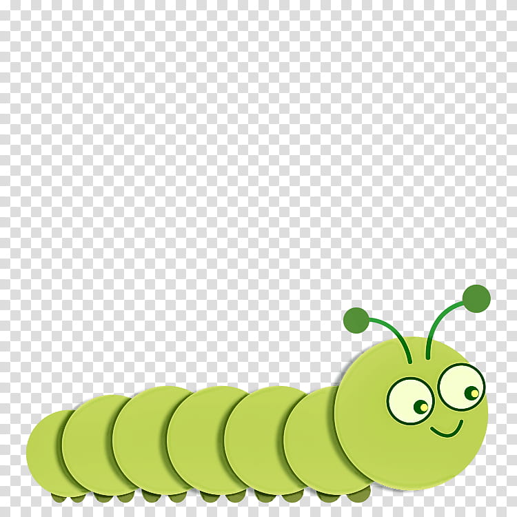 caterpillar insect larva moths and butterflies transparent background PNG clipart
