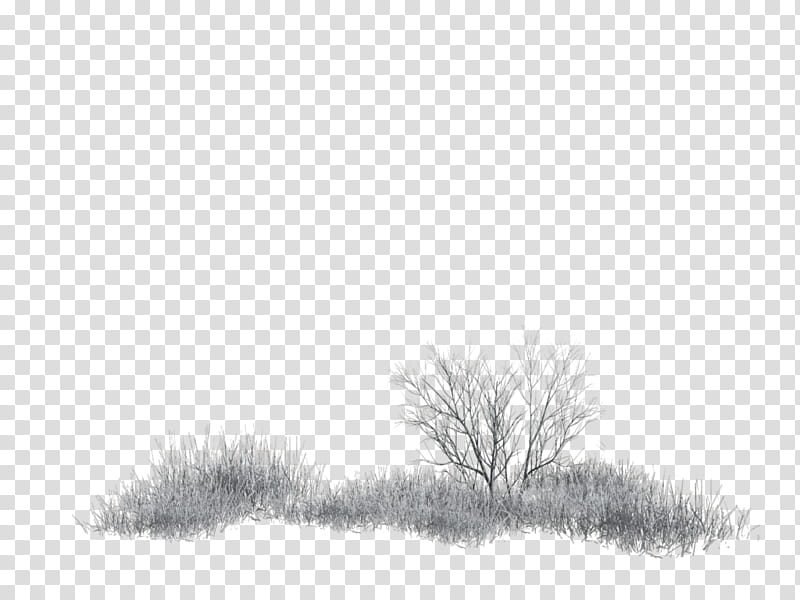 Snowy Grass and Plants , leafless tree transparent background PNG clipart