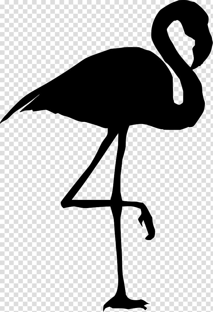 Flamingo Silhouette, Tshirt, Drawing, Greater Flamingo, Portrait F0D