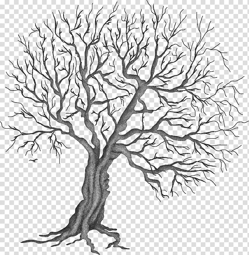 Autumn Winter trees, withered tree illustration transparent background PNG clipart