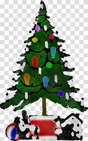 Christmas tree, Colorado Spruce, Oregon Pine, Christmas Ornament, Christmas Decoration, Christmas 
, Holiday Ornament, Conifer transparent background PNG clipart thumbnail