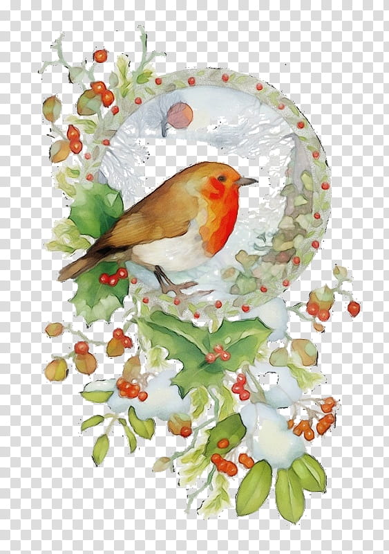 Holly, Watercolor, Paint, Wet Ink, Bird, Branch, European Robin, Songbird transparent background PNG clipart