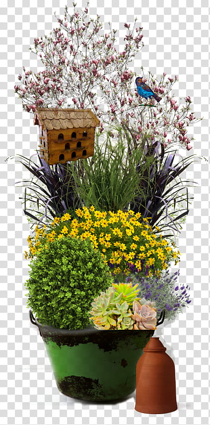 Flowers, Flowerpot, Container Garden, Plants, Houseplant, Floral Design, Leather Flower, Greenhouse transparent background PNG clipart