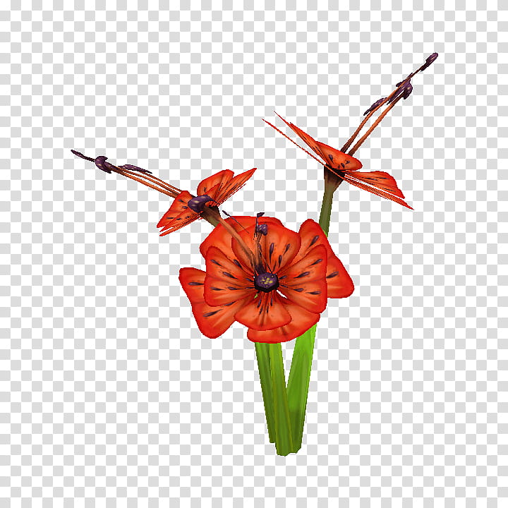 Flowers, Cut Flowers, Jersey Lily, Floral Design, Plant Stem, Belladonna, Orange Sa, Amaryllis transparent background PNG clipart