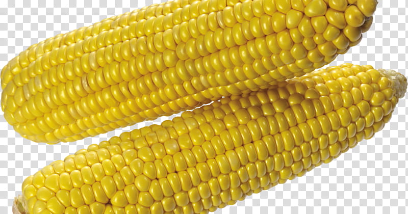 Candy Corn, Corn On The Cob, Sweet Corn, Dent Corn, Vegetarian Cuisine, Corn Kernel, Flint Corn, Cereal transparent background PNG clipart