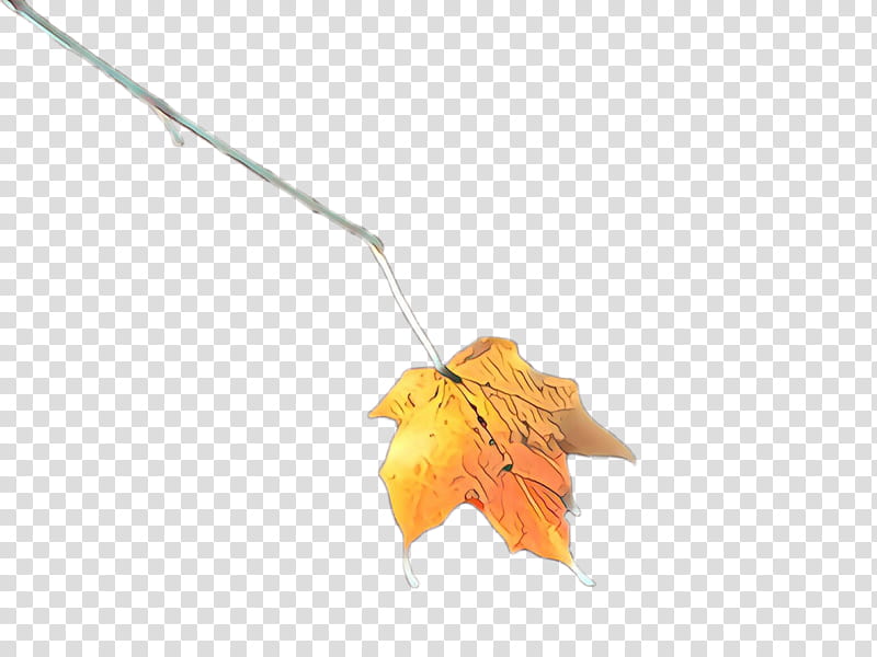 Maple leaf, Orange, Tree, Yellow, Woody Plant, Plane, Soapberry Family transparent background PNG clipart