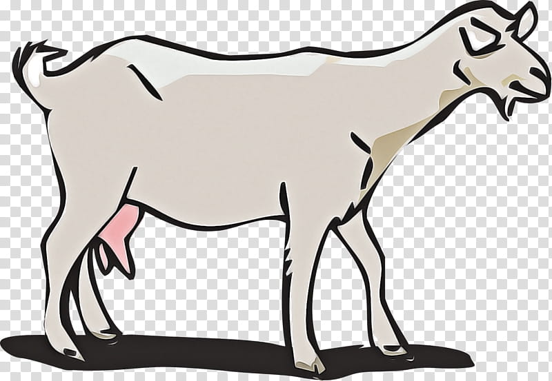 wildlife line art animal figure cow-goat family antelope, Cowgoat Family, Goats, Fawn, Tail transparent background PNG clipart