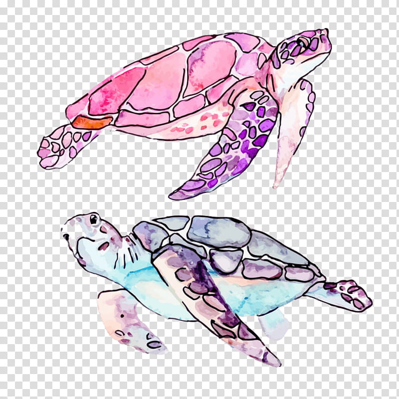 Sea Turtle, Green Sea Turtle, Loggerhead Sea Turtle, Hawksbill Sea Turtle, Reptile, Kemps Ridley Sea Turtle transparent background PNG clipart