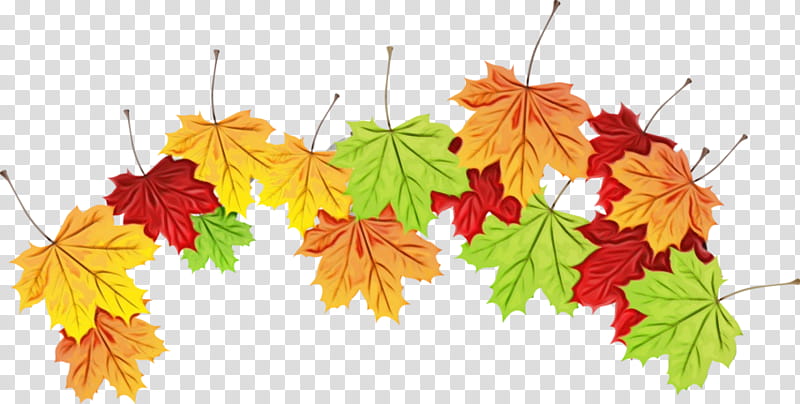 Autumn Leaves Watercolor, Paint, Wet Ink, Maple Leaf, Petal, Branching, Black Maple, Tree transparent background PNG clipart