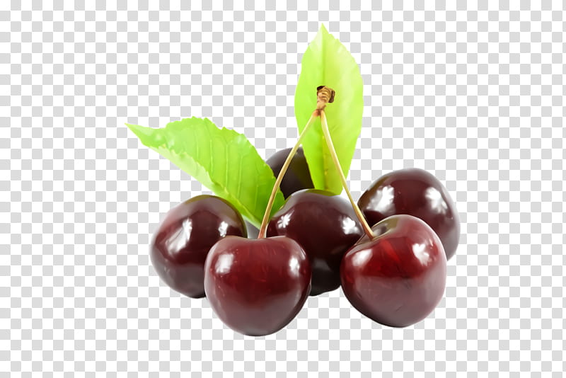 cherry natural foods fruit food plant, Black Cherry, Lingonberry, Cranberry, Superfood transparent background PNG clipart