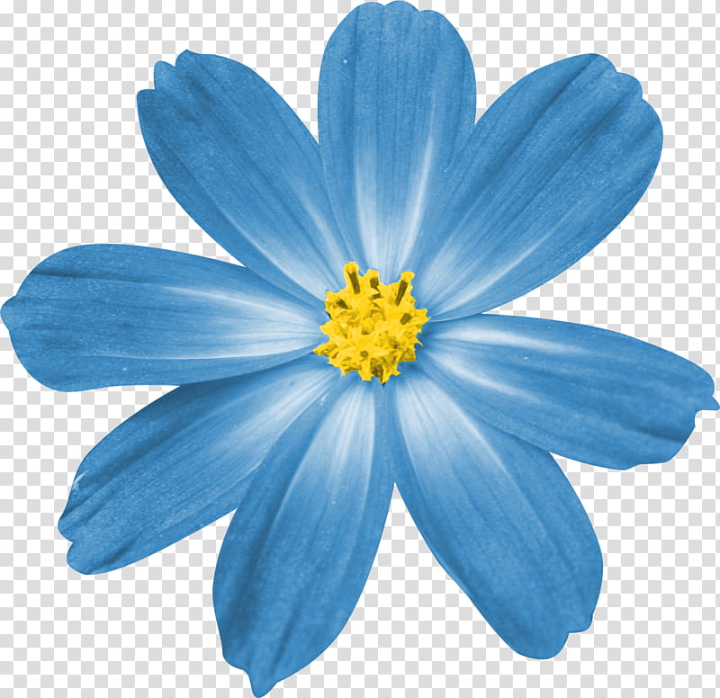 Smile Scrap Kit Freebie, blue flower art transparent background PNG clipart