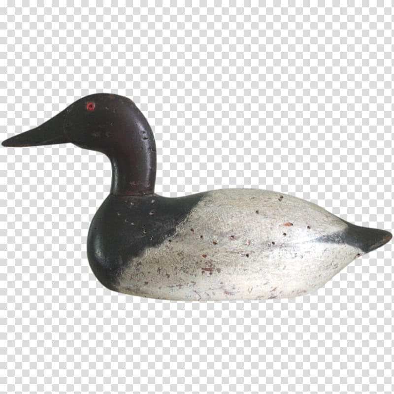 Duck, Duck Decoy, Mallard, Goose, Folk Art, Canvasback, Hunting, Wood Carving transparent background PNG clipart