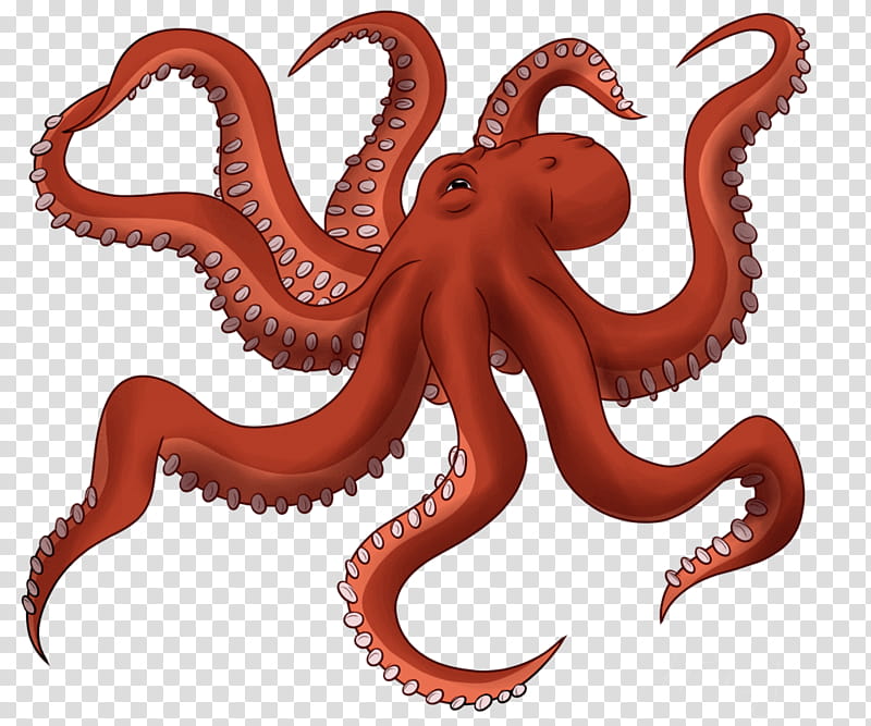 Octopus, Squid, Common Octopus, Giant Pacific Octopus, Drawing, Silhouette, Giant Octopuses transparent background PNG clipart