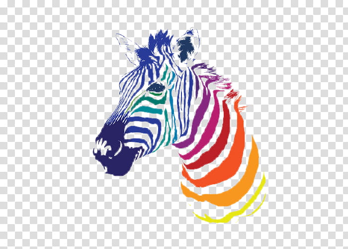 , multicolored zebra art transparent background PNG clipart