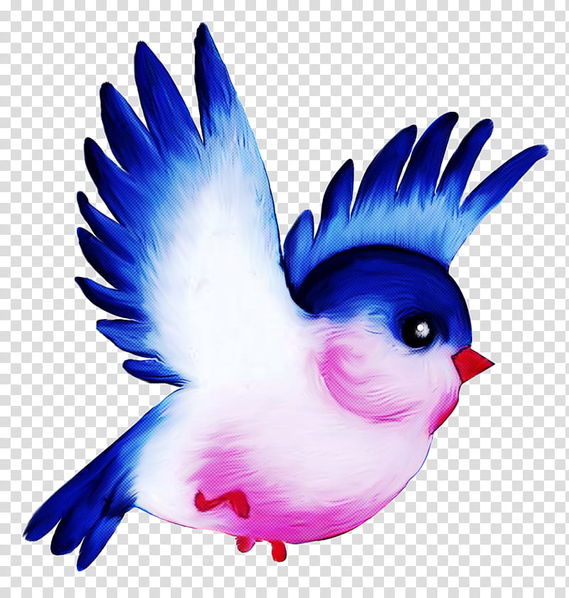 Feather, Bird, Wing, Beak, Bluebird, Parrot, Tail, Perching Bird transparent background PNG clipart