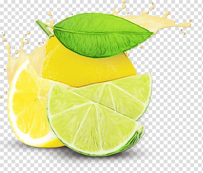 key lime lime persian lime lemon-lime green, Watercolor, Paint, Wet Ink, Lemonlime, Citrus, Sweet Lemon, Citric Acid transparent background PNG clipart