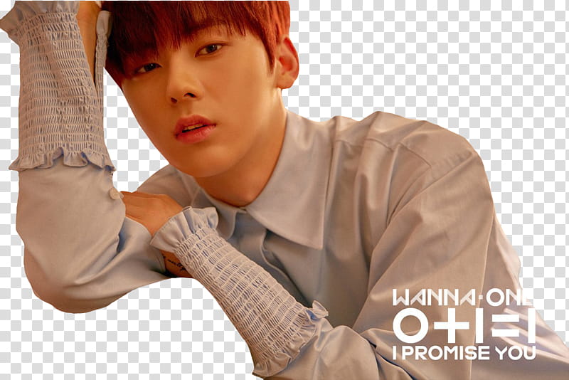 WANNA ONE I PROMISE YOU PART , man in gray dress shirt transparent background PNG clipart