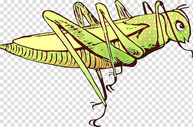 insect leaf grasshopper line art emperor moths, Wing transparent background PNG clipart