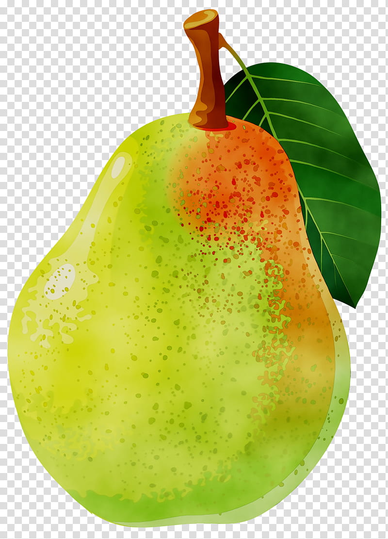Fig Tree, Bosc Pear, Food, Asian Pear, Amygdaloideae, Fruit, European Pear, Plant transparent background PNG clipart