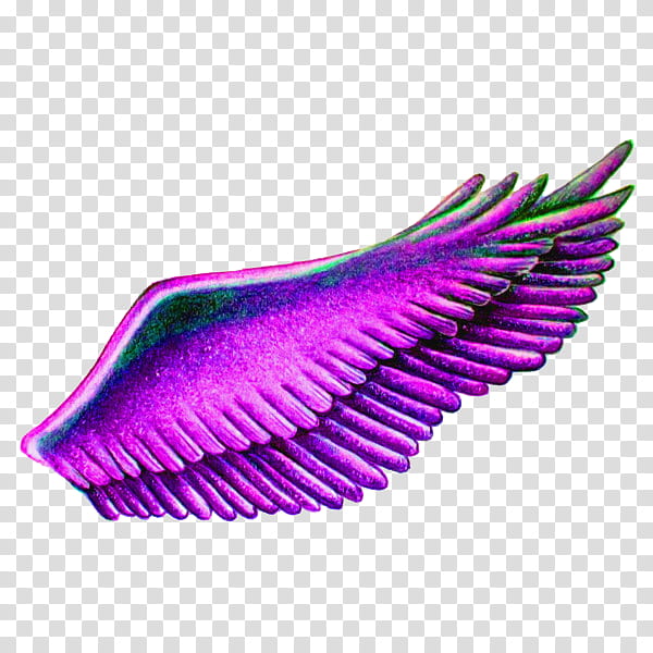 Purple aesthetic , pink and purple angel wings illustration transparent background PNG clipart