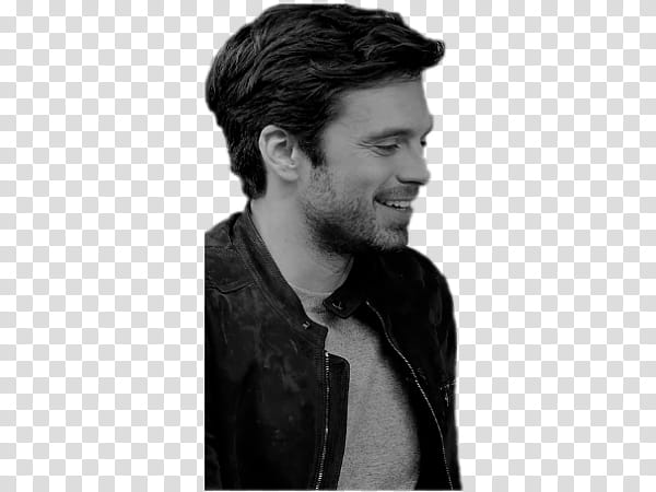 Sebastian Stan XLI transparent background PNG clipart