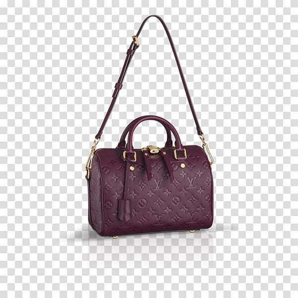 Backpack, Louis Vuitton, Handbag, Louis Vuitton Speedy, Louis Vuitton Metis, Wallet, Monogram, Canvas transparent background PNG clipart