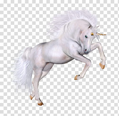 o v e r l a y S, white unicorn illustration transparent background PNG clipart