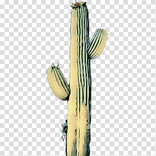 Cactus, Echinocereus, Plant Stem, Plants, Saguaro, Flower, Caryophyllales, Hedgehog Cactus transparent background PNG clipart