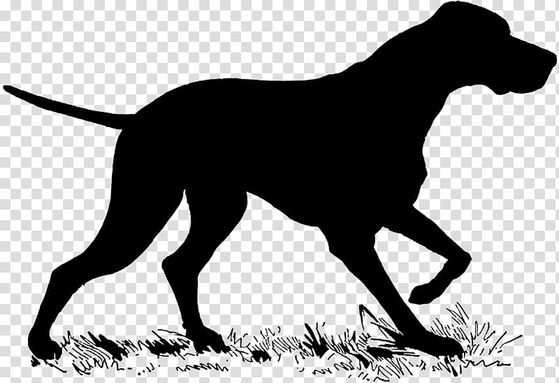 Chinese New Year Dog, 2018, Lunar New Year, New Moon, Sporting Group, Hunting Dog, Montenegrin Mountain Hound, Great Dane transparent background PNG clipart