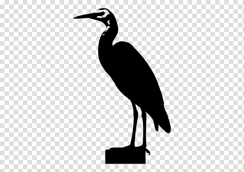 Crane Bird, Stork, Ibis, Water Bird, Beak, Neck, Wader, Silhouette transparent background PNG clipart