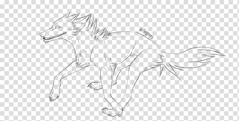 .: Free Wolf Lineart  :., white horse sketch transparent background PNG clipart