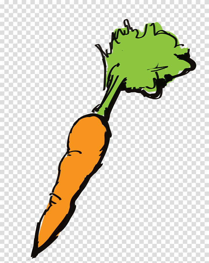 Carrot, Leaf, Plant Stem, Leaf Celery, Vegetable, Plants, Greens, Root transparent background PNG clipart