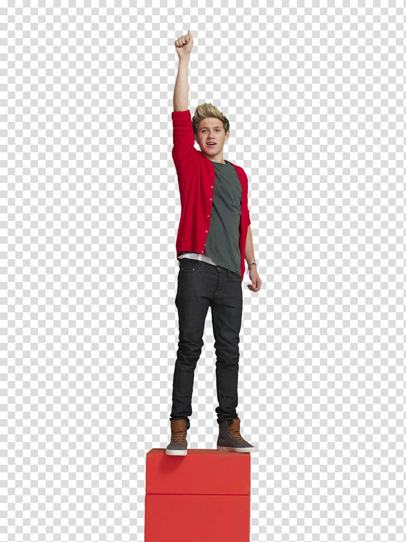 One Direction, Niall Horan transparent background PNG clipart