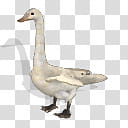 Spore creature Whooper swan transparent background PNG clipart