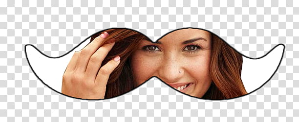 Bigote De Demi Lovato transparent background PNG clipart