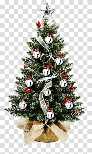 Christmas tree, Christmas Decoration, Colorado Spruce, Oregon Pine, Christmas Ornament, Christmas 
, Plant transparent background PNG clipart thumbnail