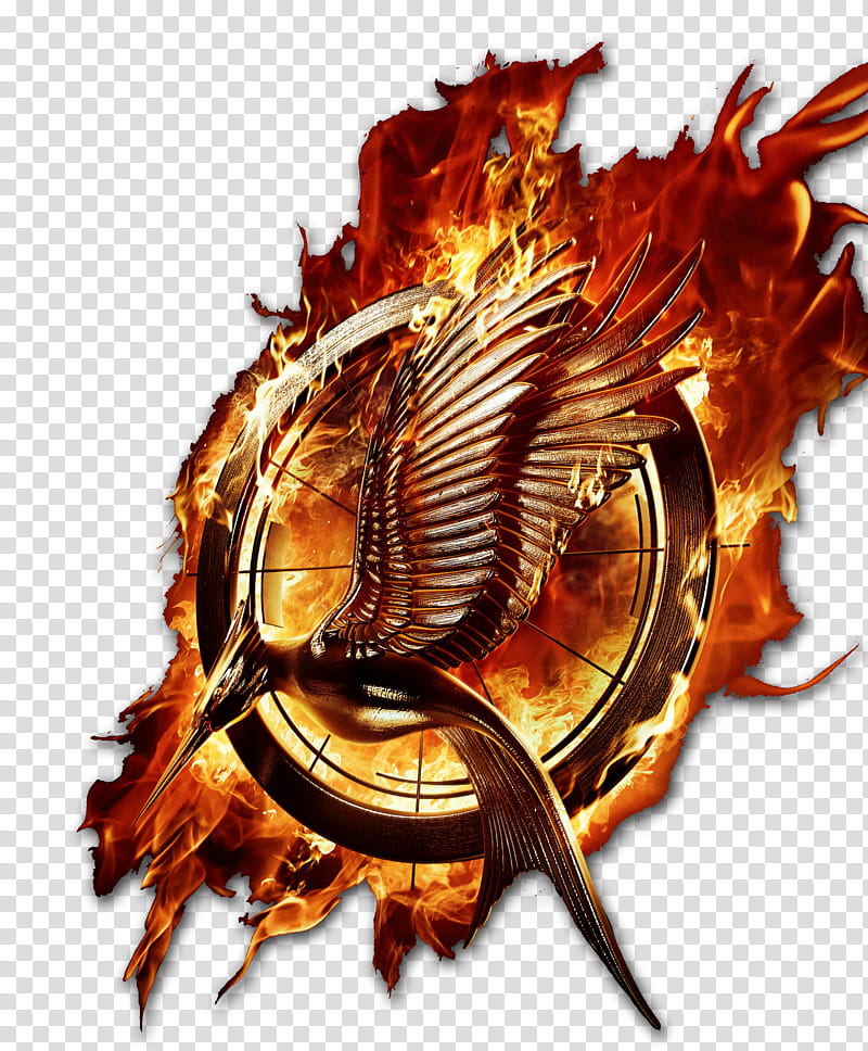 Catching Fire transparent background PNG clipart