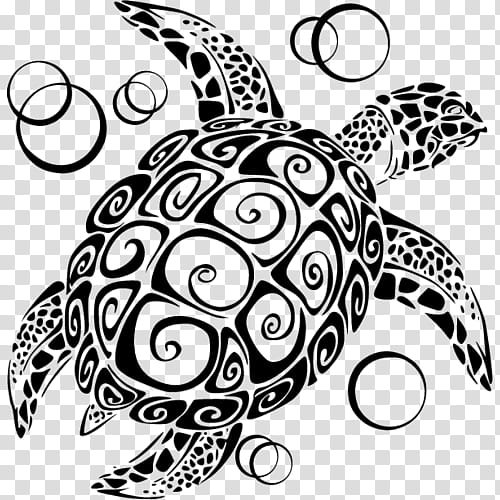 Sea Turtle, Drawing, Decal, Wall Decal, Green Sea Turtle, Animal, Reptile, Line Art transparent background PNG clipart