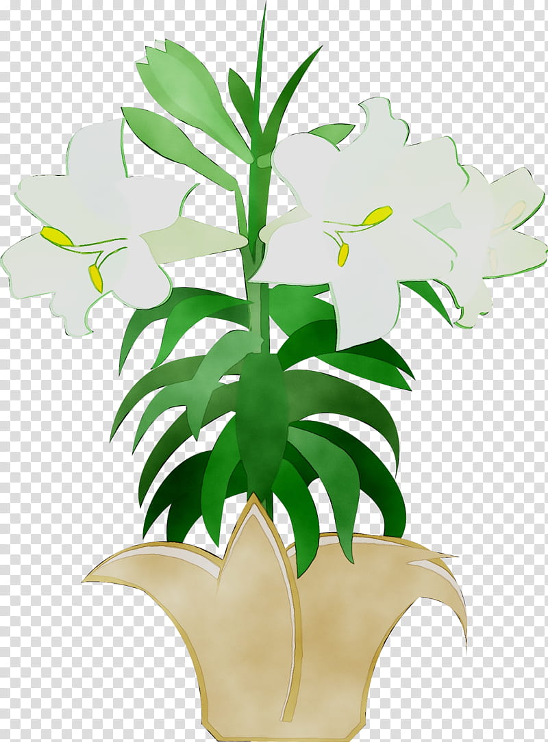 Easter Lily, Easter
, Holy Week, Lent Easter , Flower, Palm Sunday, Flowerpot, Plant transparent background PNG clipart