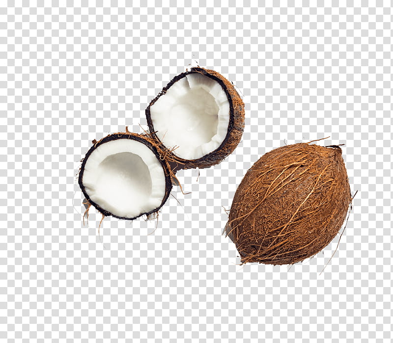 Oil, Coconut Water, Coconut Milk, Coconut Oil, Walnut Oil, Wheat Germ Oil, Plant transparent background PNG clipart