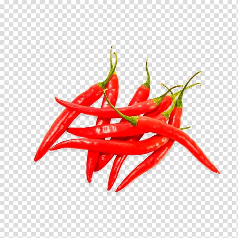 Red Flower, Chili Con Carne, Capsicum Annuum Var Acuminatum, Chili Pepper, Peppers, Thai Cuisine, Bell Pepper, Food transparent background PNG clipart
